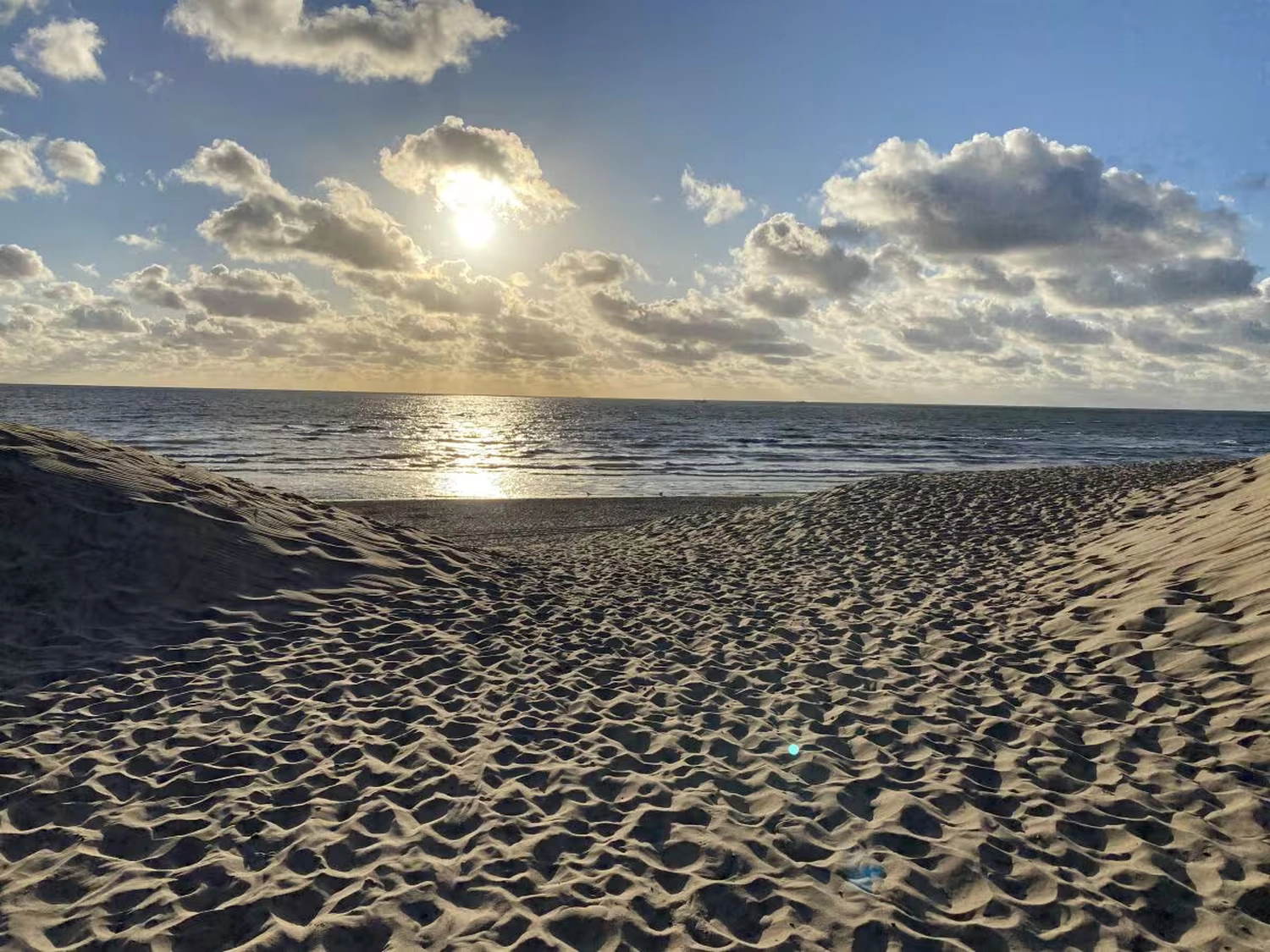 Dünen & Meer - Ferienhäuser - Strand