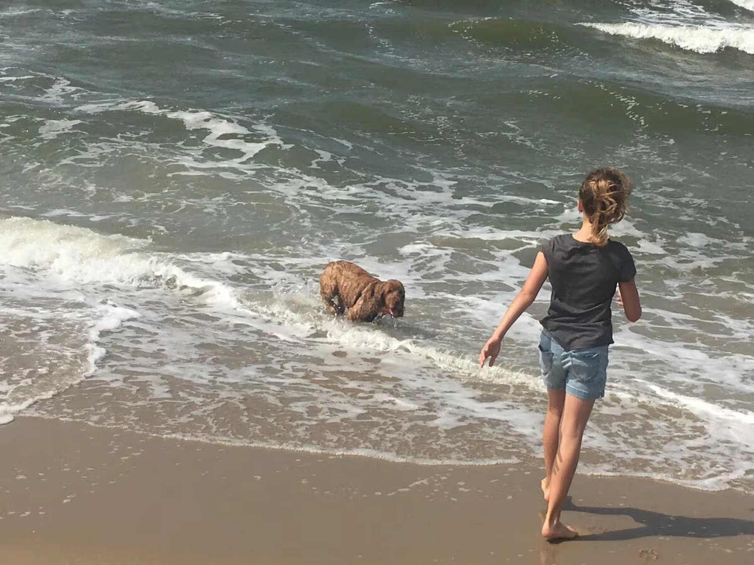 Dünen & Meer - Ferienhäuser - Strand