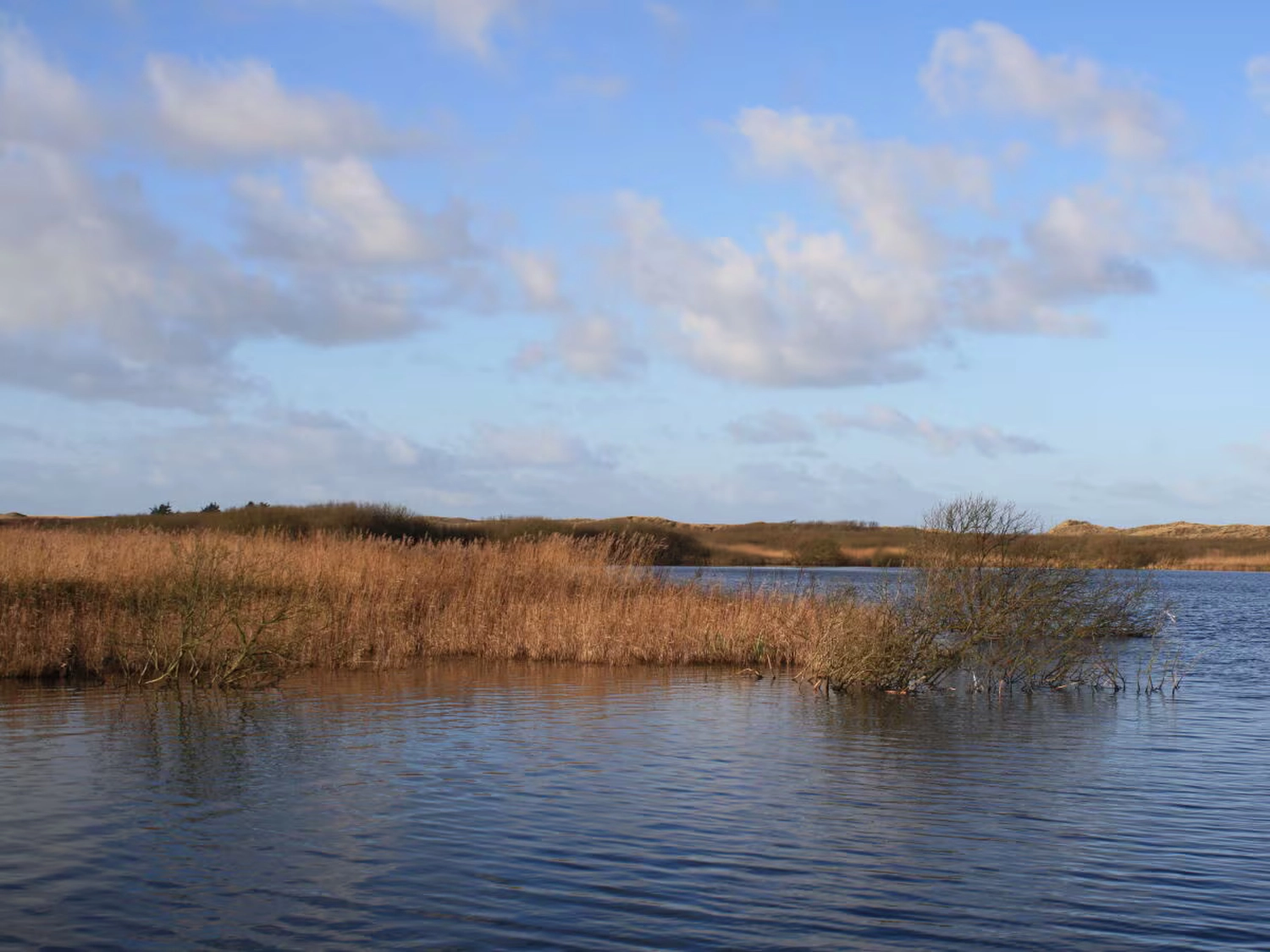 Dünen & Meer - Ferienhäuser - Villa Sonnenschein - Strand
