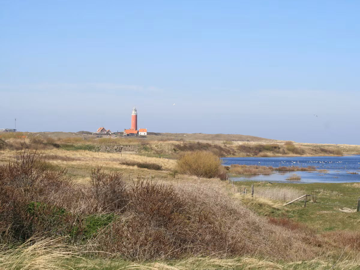 Dünen & Meer - Ferienhäuser - draußen